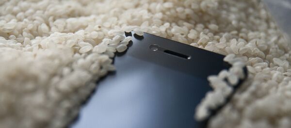 Телефон в рисе Телефон в рисе - Sputnik Южная Осетия