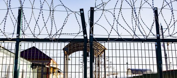 Граница Южной Осетии и Грузии Граница Южной Осетии и Грузии - Sputnik Южная Осетия