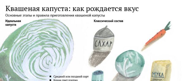 Квашенная капуста Квашенная капуста - Sputnik Южная Осетия