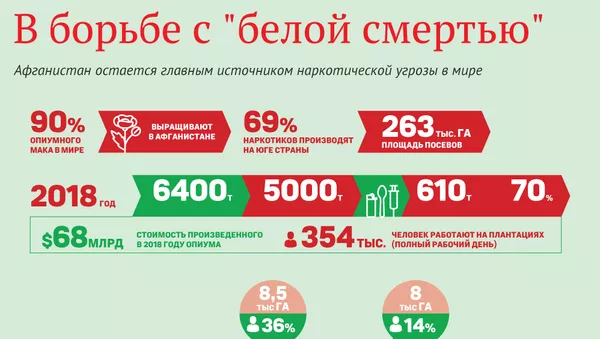 Афганистан - источник наркотической угрозы - Sputnik Южная Осетия