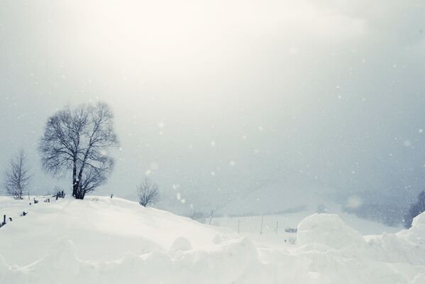Зима в горах Южной Осетии - Sputnik Южная Осетия