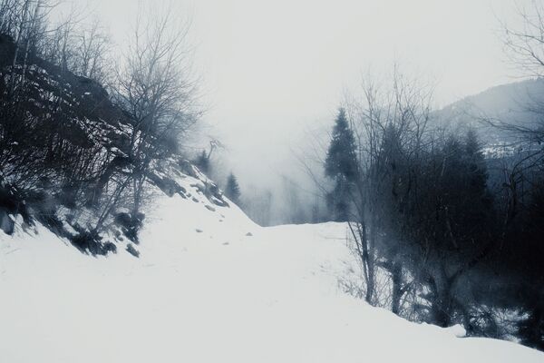 Зима в горах Южной Осетии - Sputnik Южная Осетия