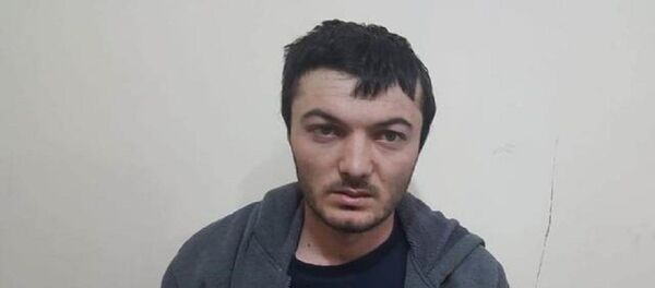 Хуссар Иры ссардтой фыдгæнæджы, кæцы сæххæст кодта бабырст - Sputnik Хуссар Ирыстон