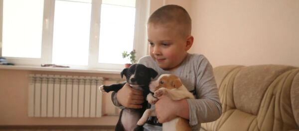 Шестилетний житель Владикавказа спасает бездомных и раненых зверей - Sputnik Южная Осетия