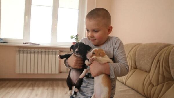 Шестилетний житель Владикавказа спасает бездомных и раненых зверей - Sputnik Южная Осетия