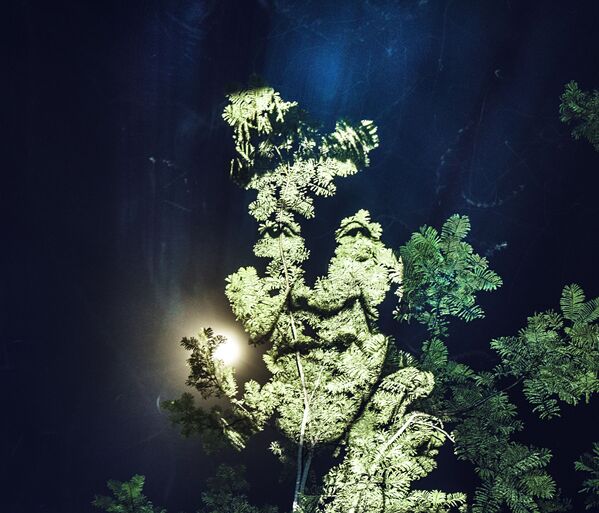 Световой портрет на деревьях в Амазонии - Sputnik Южная Осетия