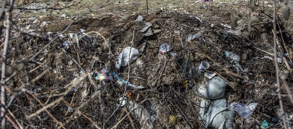 Бытовые отходы - Sputnik Южная Осетия