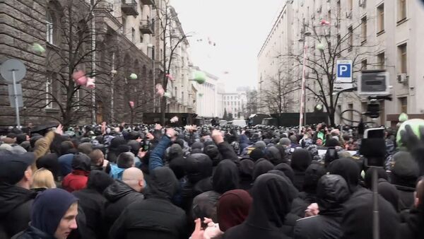 Националисты в Киеве закидали стражей порядка плюшевыми свиньями - Sputnik Южная Осетия