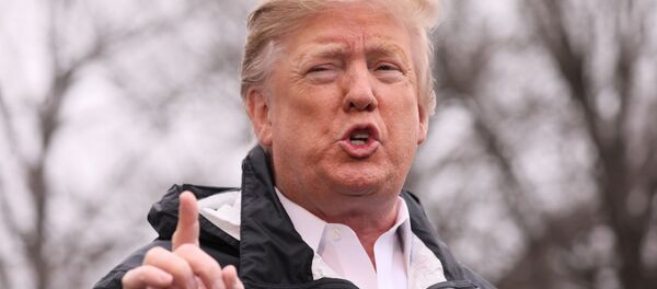 Президент США Дональд Трамп Президент США Дональд Трамп - Sputnik Южная Осетия