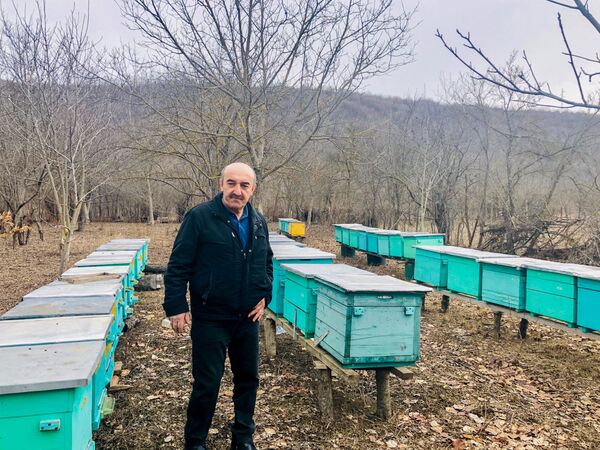 Сладкое дело пчеловода из Южной Осетии - Sputnik Южная Осетия