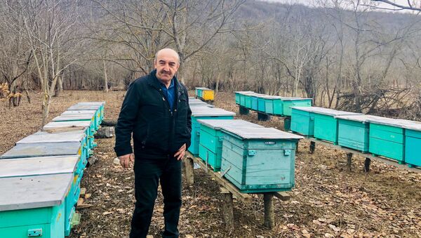 Сладкое дело пчеловода из Южной Осетии - Sputnik Южная Осетия