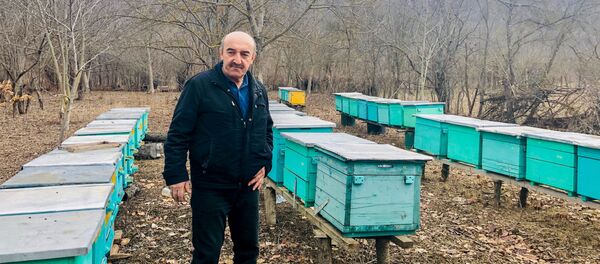 Сладкое дело пчеловода из Южной Осетии Сладкое дело пчеловода из Южной Осетии - Sputnik Южная Осетия