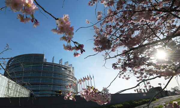 Цветущая вишня у здания Европейсого парламента в Страсбурге, Франция - Sputnik Южная Осетия