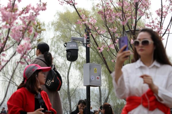 Люди фотографируются с цветущей вишней в Пекине - Sputnik Южная Осетия