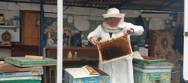 уссар Ирыстоны мыддарджыты ассоциаци бындурӕвӕрӕг Джиоты Феликс  уссар Ирыстоны мыддарджыты ассоциаци бындурӕвӕрӕг Джиоты Феликс  - Sputnik Хуссар Ирыстон