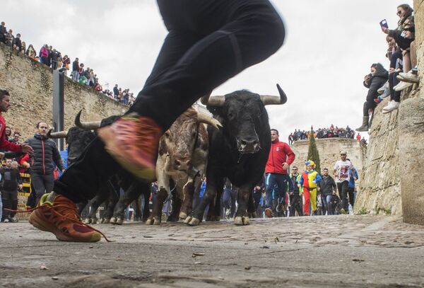 Люди бегут вместе с быками по улицам во время Карнавала дель Торо в Сьюдад-Родриго, Испания - Sputnik Южная Осетия