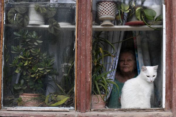 Кошка в окне в Балаклаве - Sputnik Южная Осетия