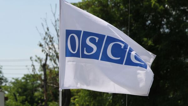 Флаг на автомобиле кортежа ОБСЕ - Sputnik Южная Осетия