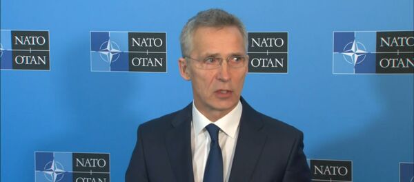 НАТО единогласно призывает Россию начать вновь соблюдать ДРСМД НАТО единогласно призывает Россию начать вновь соблюдать ДРСМД - Sputnik Южная Осетия