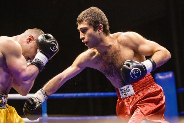 Международный турнир по профессиональному боксу в Цхинвале - Sputnik Южная Осетия