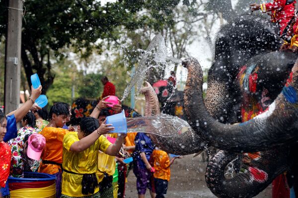 Люди и слоны обливаются водой во время празднования тайского Нового года - Sputnik Южная Осетия