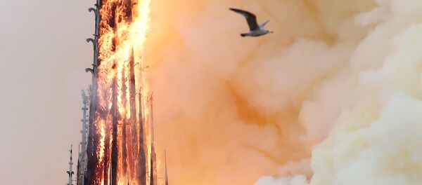 Пламя от пожара в соборе Парижской Богоматери - Sputnik Южная Осетия