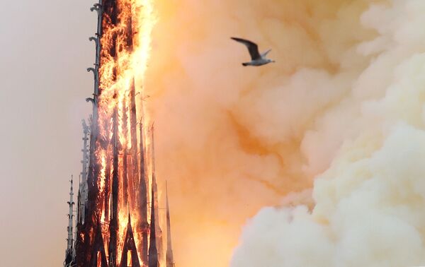 Пламя от пожара в соборе Парижской Богоматери - Sputnik Южная Осетия