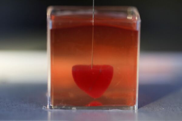 Первое в мире живое сердце, напечатанное на 3D-принтере во время демонстрации в лаборатории, Тель-Авив, Израиль - Sputnik Южная Осетия