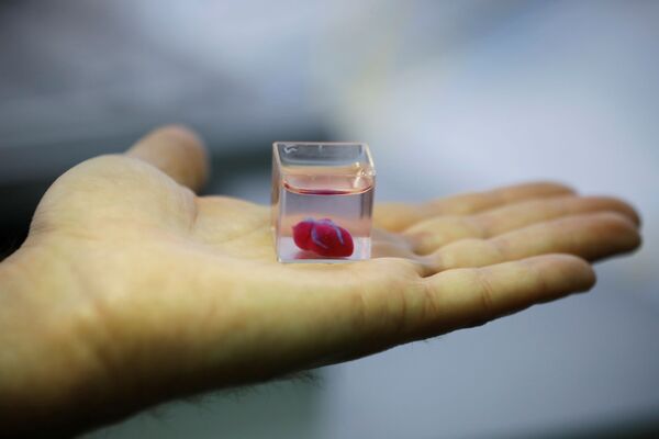 Первое в мире живое сердце, напечатанное на 3D-принтере во время демонстрации в лаборатории, Тель-Авив, Израиль - Sputnik Южная Осетия