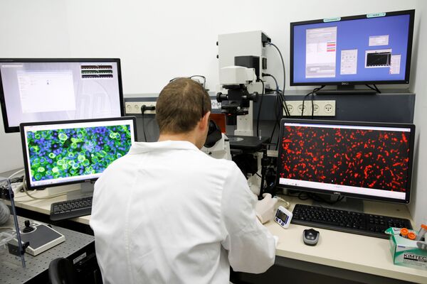 Лаборант смотрит в микроскоп во время демонстрации первого в мире живого сердца, напечатанного на 3D-принтере, Тель-Авив, Израиль - Sputnik Южная Осетия