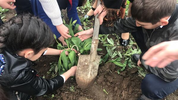 В память о Коммунисте: цхинвальские школьники провели акцию чистоты В память о Коммунисте: цхинвальские школьники провели акцию чистоты - Sputnik Южная Осетия