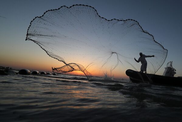Рыбак бросает сеть недалеко от побережья Абу-Даби, ОАЭ - Sputnik Южная Осетия