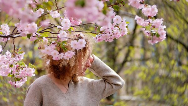 Девушка у цветущей сакуры в сквере Дружбы (Китайском садике) на Литейном проспекте в Санкт-Петербурге - Sputnik Южная Осетия