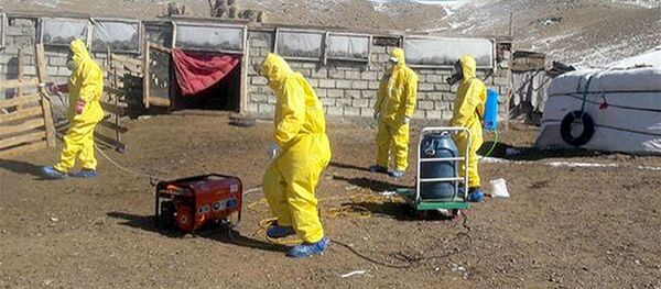 Карантин в Монголии из-за бубонной чумы Карантин в Монголии из-за бубонной чумы - Sputnik Южная Осетия