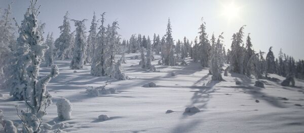 Зима в селе Оймякон, Якутия Зима в селе Оймякон, Якутия - Sputnik Южная Осетия