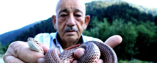 Краевед Владимир Габаев рассказал о том, как вести себя при встрече со змеей - Sputnik Южная Осетия