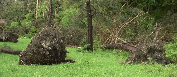 Ураган в Южной Осетии Ураган в Южной Осетии - Sputnik Южная Осетия