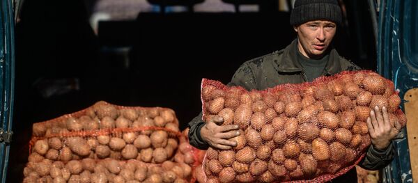 Картоф Картоф - Sputnik Хуссар Ирыстон