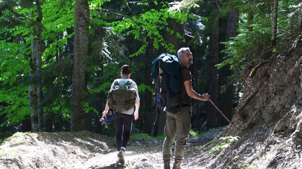 Туристы гуляют в лесу Северного отдела Кавказского государственного природного биосферного заповедника - Sputnik Южная Осетия