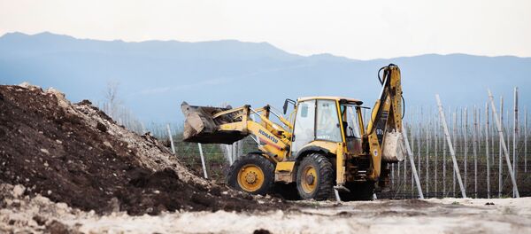 Яблоневые сады в Цхинвальском районе Южной Осетии - Sputnik Южная Осетия