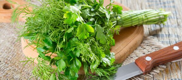 Петрушка и укроп на столе Петрушка и укроп на столе - Sputnik Южная Осетия