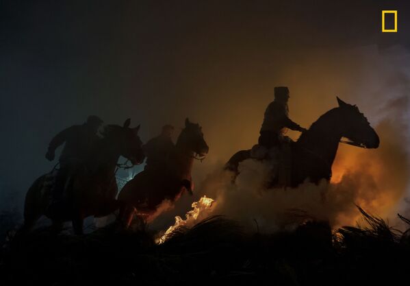 Снимок Horses фотографа Yoshiki Fujiwara, занявший второе место в категории People конкурса National Geographic Travel Photo 2019 - Sputnik Южная Осетия