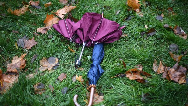 Зонтики на траве во время дождя в Москве - Sputnik Южная Осетия
