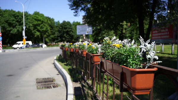 Улицы Владикавказа украсили 5-ю тысячами цветов - Sputnik Южная Осетия