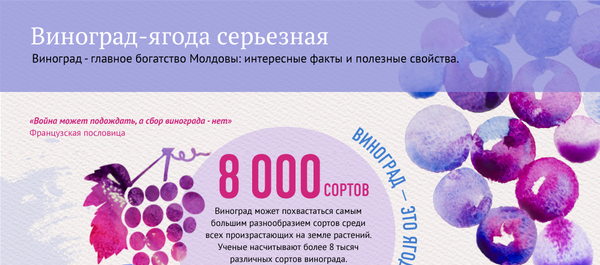 Польза и вред винограда Польза и вред винограда - Sputnik Южная Осетия