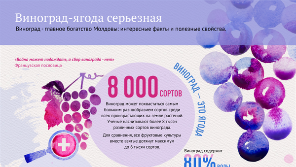 Польза и вред винограда - Sputnik Южная Осетия