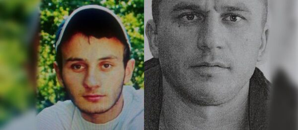 Хуссар Иры дарддӕр агурынц фыдгӕнджыты  Хуссар Иры дарддӕр агурынц фыдгӕнджыты - Sputnik Хуссар Ирыстон