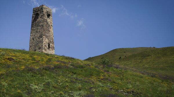 Башня на территории архитектурно-этнографического комплекса Город мертвых в Республика Северная Осетия - Sputnik Южная Осетия