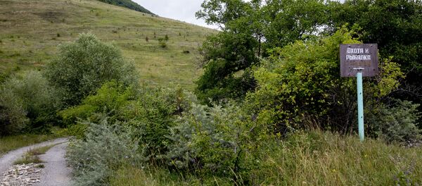 Юго-осетинский государственный заповедник - Sputnik Южная Осетия