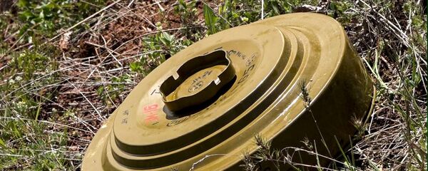 Мина - Sputnik Южная Осетия